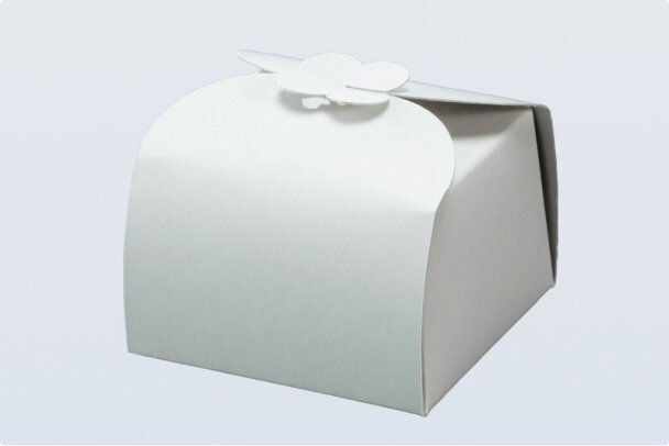 package6_1.jpg