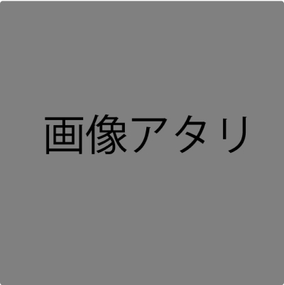 お土産、ギフトの高級感演出にー 日本酒和紙ラベルシール
