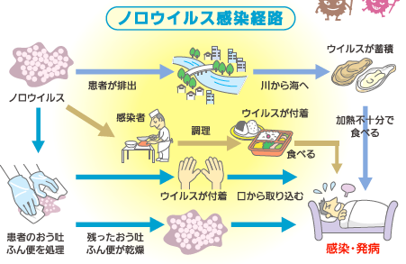 ノロウイルス感染経路