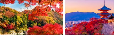 紅葉がり