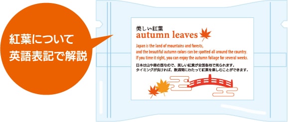 紅葉がり
