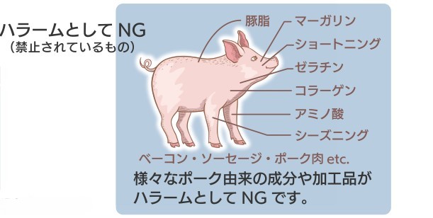 豚肉由来の成分や加工食品はハラームとしてNG