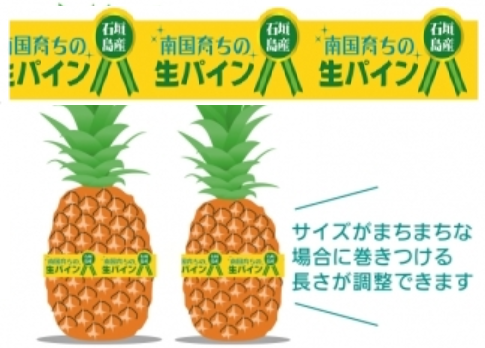 青果に直に巻いて