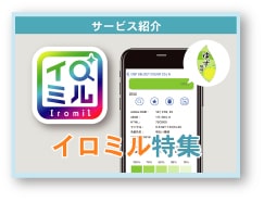 記事サムネイル:イロミル特集